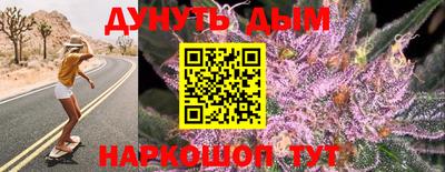 гидра Гусиноозёрск
