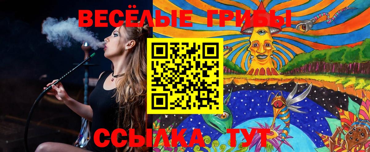 Майский  Псилоцибиновые грибы прущие грибы  купить   Вход с VPN 