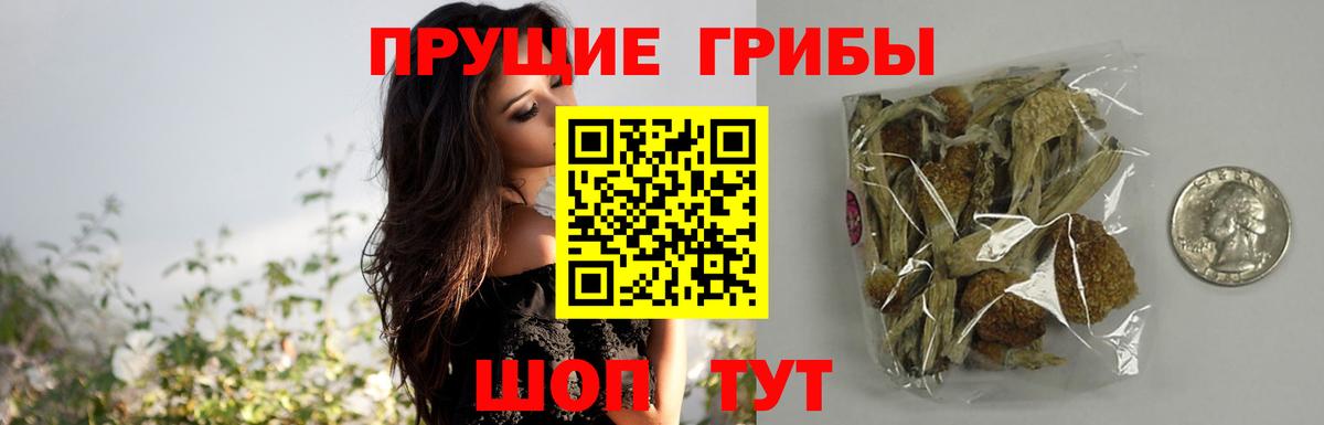 Галлюциногенные грибы MAGIC MUSHROOMS Майский
